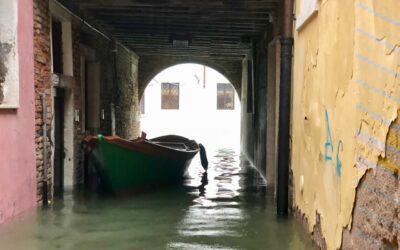 Rowing Lessons and Acqua Alta